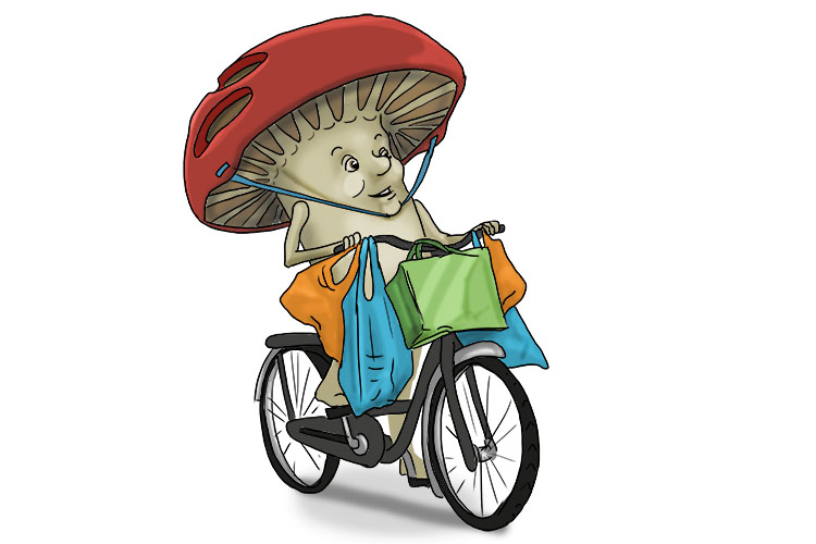 The mushroom went shopping on (champignon) a bike.