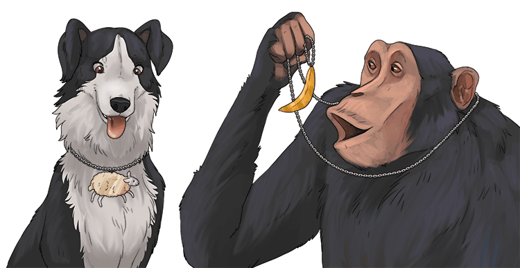 I gave one necklace to the border collie and one to an ape (collier).