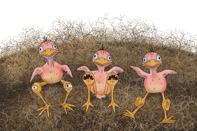 If you look into this bird nest you can see the chicks all have strange knees (nid).