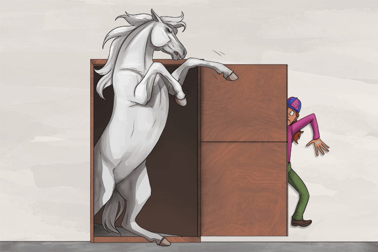 If you open the stable door you better move quickly because this horse will rear (ouvrir).