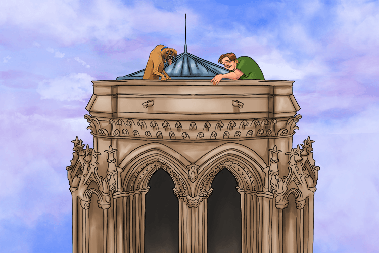 Our dog was on the roof of Notre (notre) Dame with Quasimodo