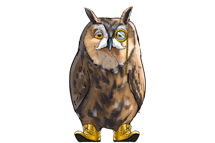 The owl wore fancy shoes and had perfect etiquette (chouette)