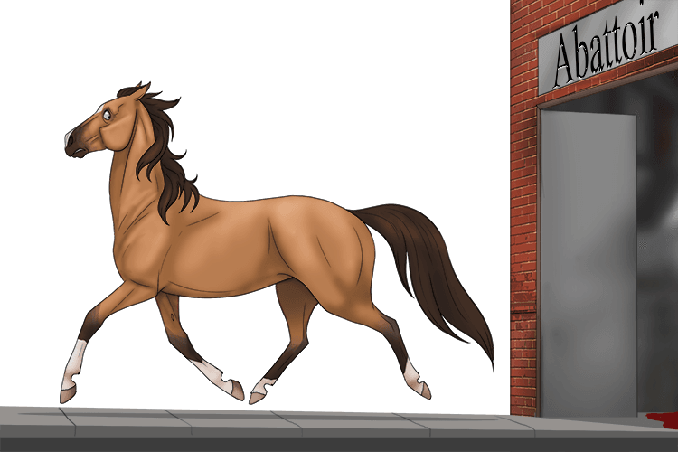 Along the pavement, the horse trotted away from the abattoir (trottoir).