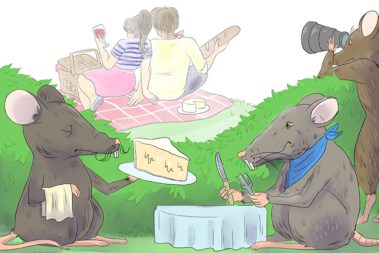 The couple enjoyed a picnic while the rats peeked from the bushes and sneaked (pique-nique) away with their cheese.