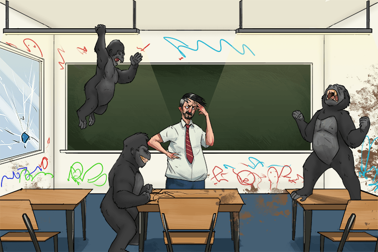 I feel pity for the people who teach apes (pitié).