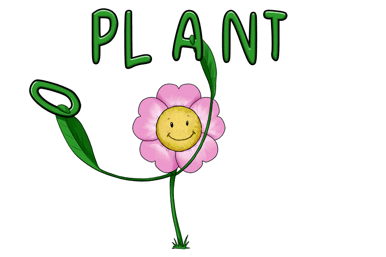 The plant removed the 'a' from it's name and replaced it with an 'o'.