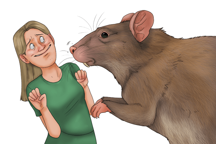 She put on a brave face when she met the giant rat (mettre).