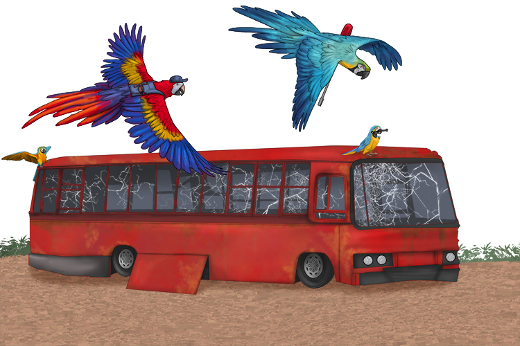 We needed to repair the red bus, so the parrots raced (réparer) over to help.
