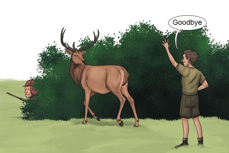 Say goodbye to the deer (dire).