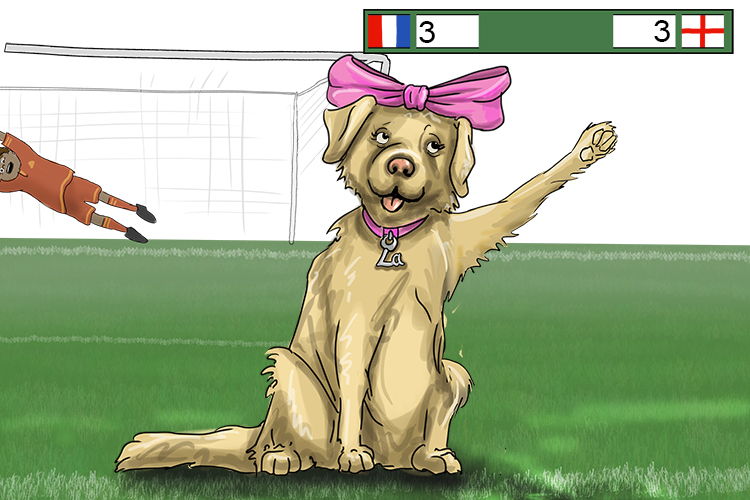 Marque is feminine, so it's la marque. Imagine the Labrador is pointing to the score board.