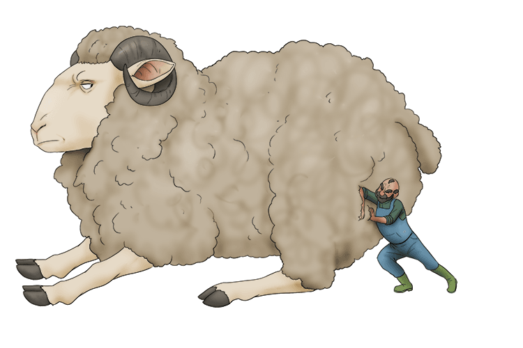 This sheep is difficult to move, it weighs a ton (mouton).