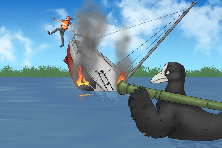 My boat was sinking after the coot in the lake (couler) attacked it.