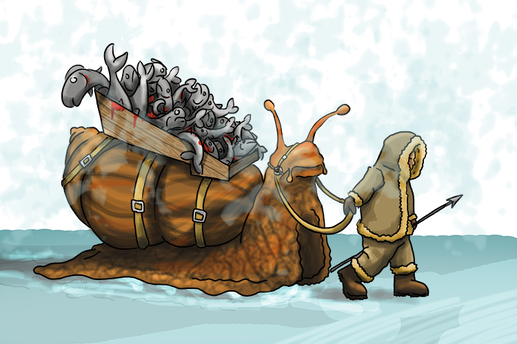The giant snail was loaded with Eskimo cargo – mostly fish that they'd caught on their spears