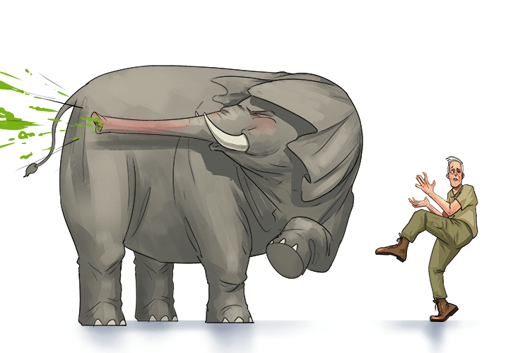 When it was about to sneeze, the elephant turned away (éternuer)