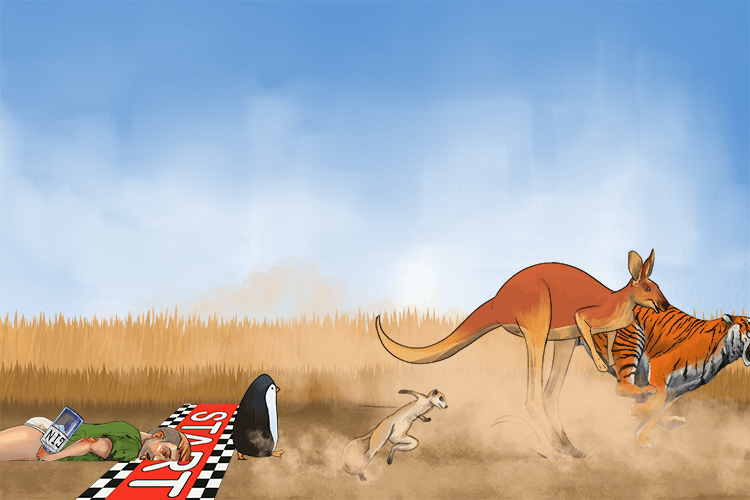 We solved the question, "Who would win in a race, zoo animals or a drunk (résoudre) person"