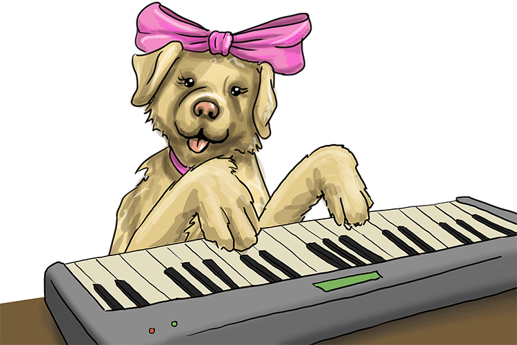 Chanson is feminine, so it's la chanson. Imagine the Labrador playing a song on a keyboard.