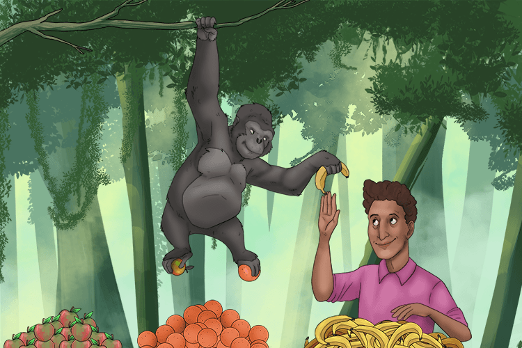 I sorted all the fruit from the trees with an ape (trier).