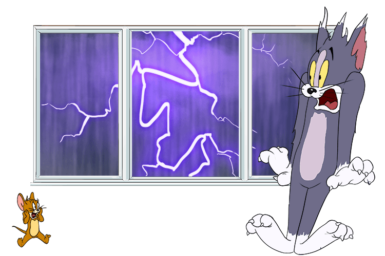 During the storm, Tom and Jerry were petrified (tempête)
