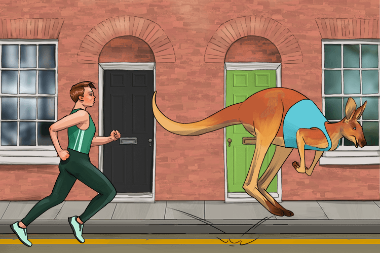 Along the street I raced the kangaroo (roo)