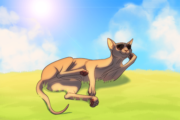 The sun's out. So I'll lay (so-lay) down and get a tan.