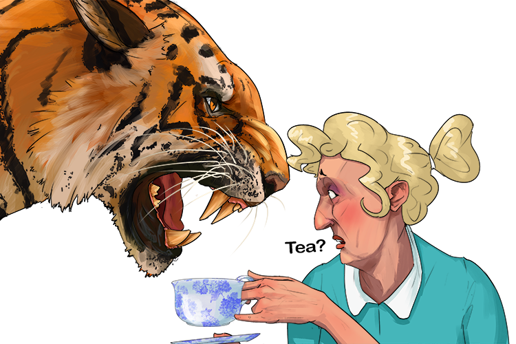 I offered the tiger some tea because he looked grumpy (tigre)