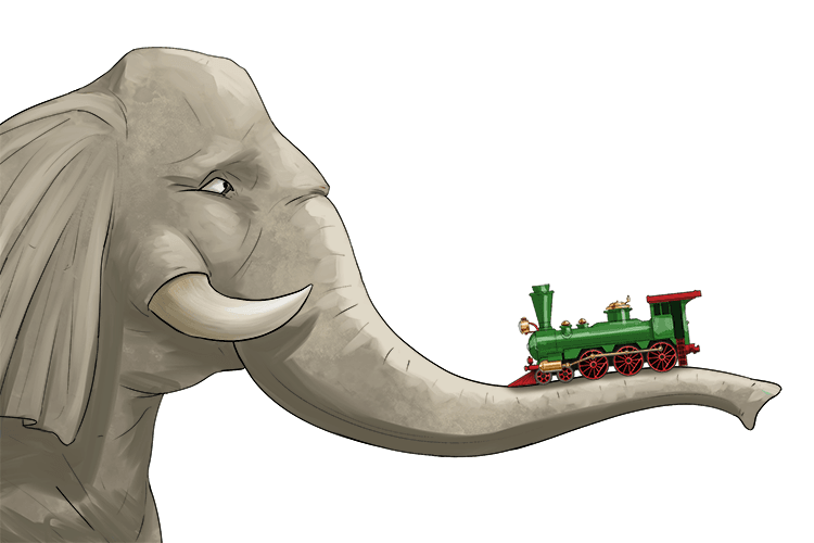 The toy train travelled along the elephant's trunk (train)