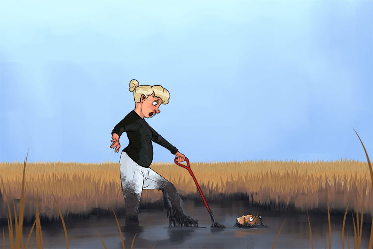 Taking a walk through the marsh (marche) wasn't the best idea