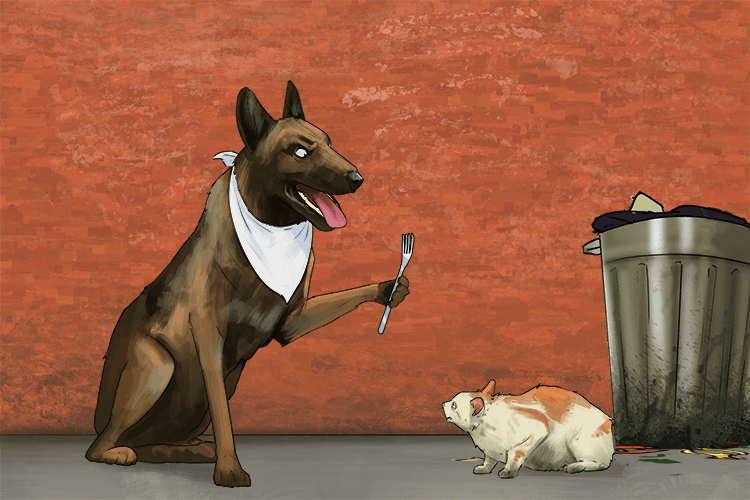 The dog went down the alley and ate an alley (est  allé) cat