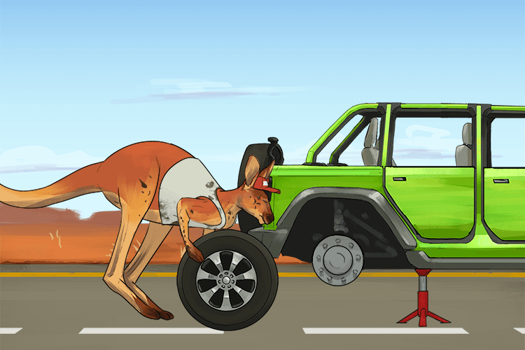 My wheel was changed by the kangaroo (roue)