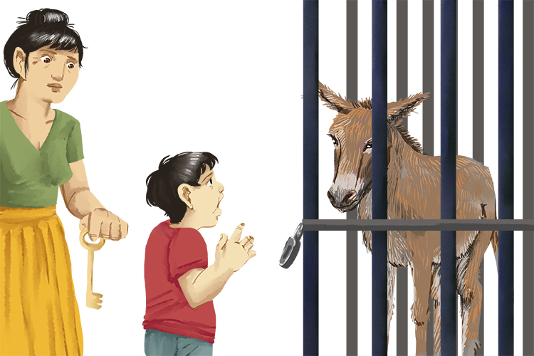 Whose donkey (dont) is in jail? Does anyone have a key (à qui) to get him out?