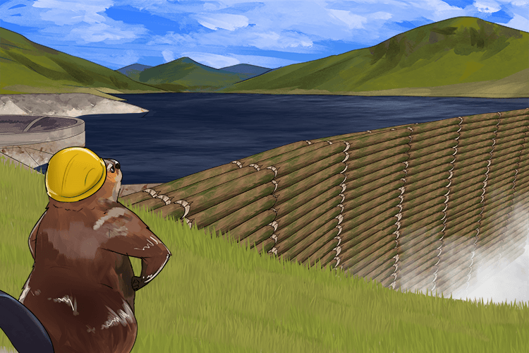 Using wood, the beaver dammed the river a to make a reservoir (bois)