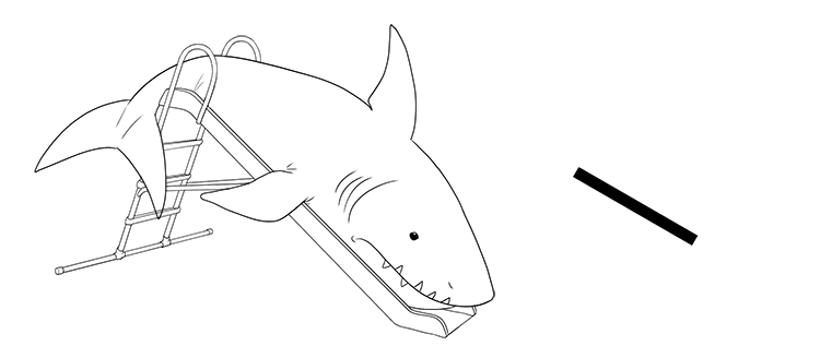 The shark slid down the slide.