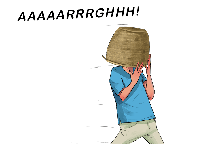 The basket lands (lan-ds) on my head