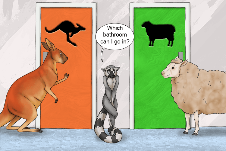 One bathroom was for kangaroos, the other was for sheep (oo-she).