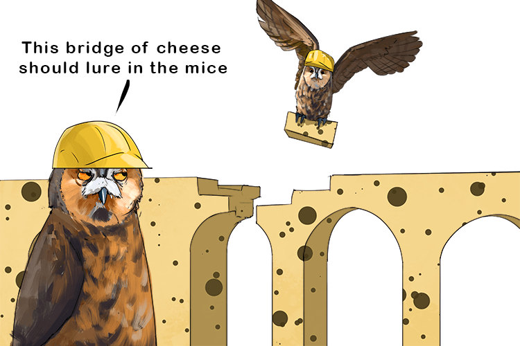 A bridge made of cheese was built by the owls (chee-ow) to attract mice