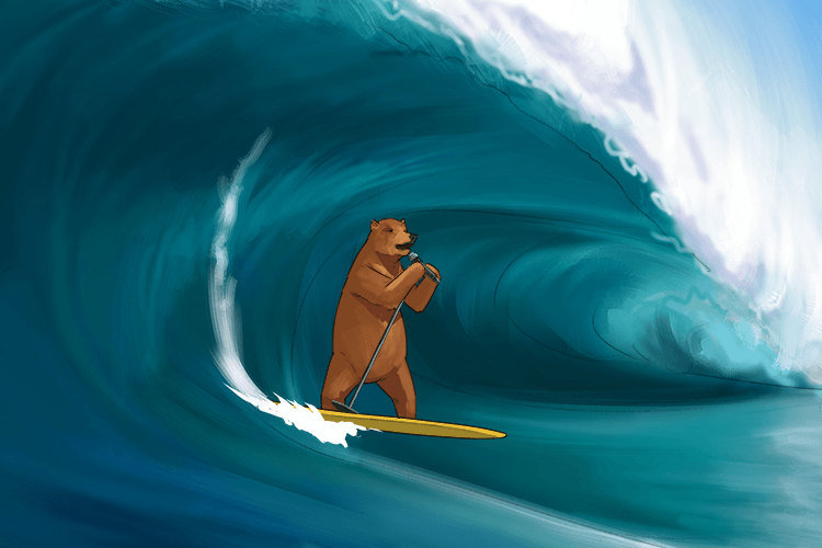 The brown bear was singing a song while surf (zong-ser) boarding