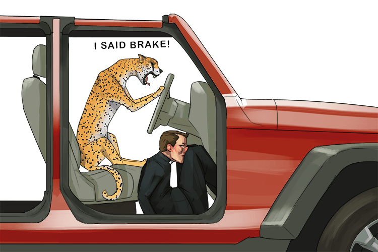 The car was being driven by a cheetah and a church (chee-chur) priest