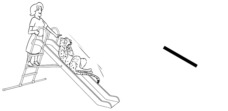 She pushed the cheetah down the slide