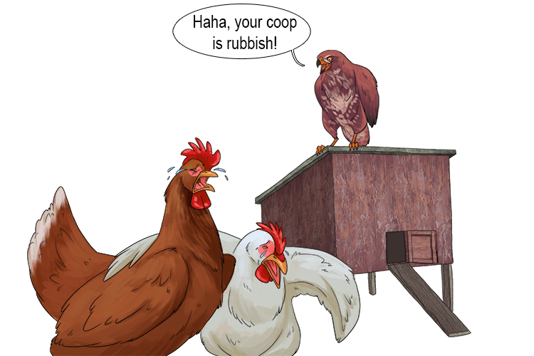 The chickens would cry if you made fun of their coop (koo).