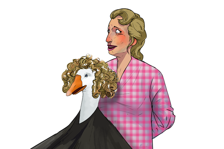 My customer was a goose, and she wanted curly (goo-ker) hair