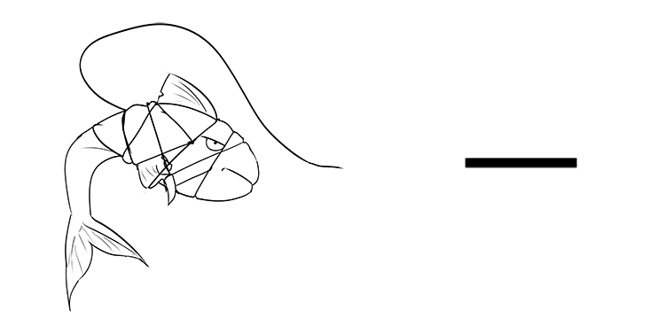 The nylon "string" has wrapped itself into a knot around the fish