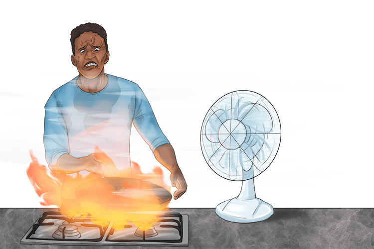 While cooking dinner I needed one fan (wahn-fan).