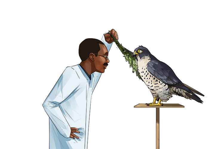 Mandarin Word gan Mammoth Memory