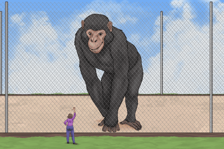 Mandarin Word zui xihuan Mammoth Memory