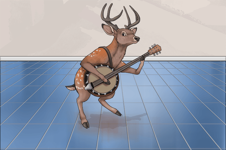In the middle of the floor was a deer playing a banjo (dee-ban).