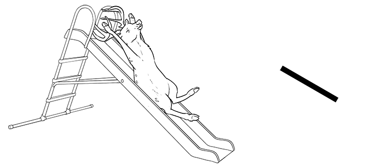 The deer slid down the slide