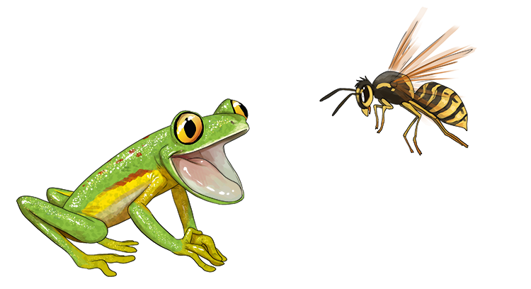 The frog was chatting with the wasp (ching-wa).
