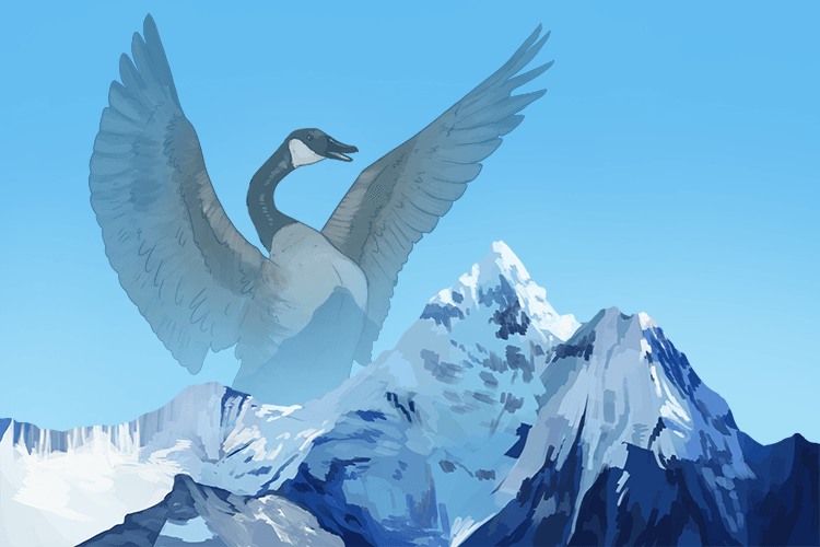 It was the largest goose on earth (er).