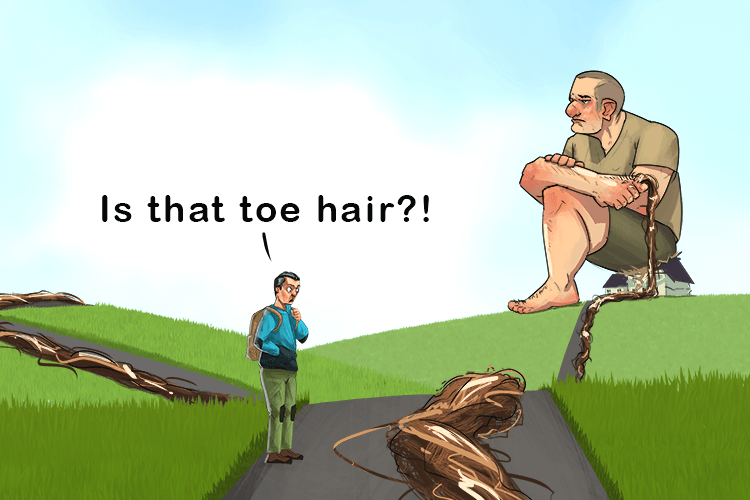 The hair on my toe stretches far (toe-fa) down the road