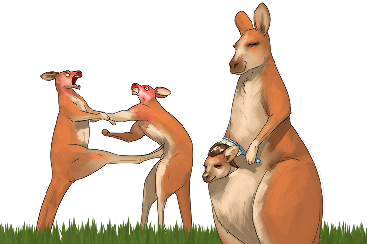 If you can keep your head when all about you are losing theirs, you can keep your baby roo looking gorgeous (roo-gore)